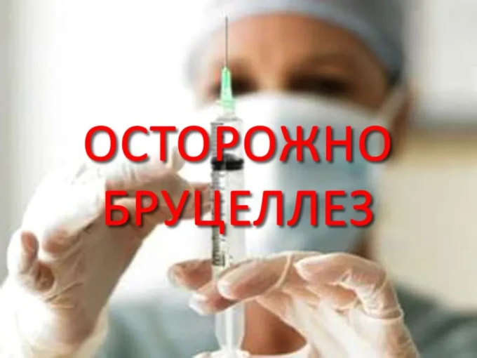 Памятка «Меры по профилактике бруцеллёза» Памятка «Меры по профилактике бруцеллёза».